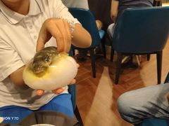 -肆月河豚·新淮扬(金融街店)