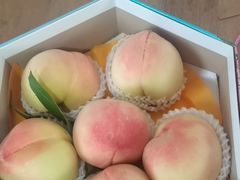 -南汇水蜜桃采摘(大团店)