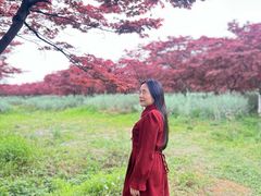 -云漫湖生态度假公园