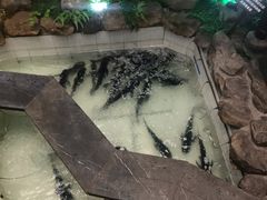 -春盛渔府(牛首山店)