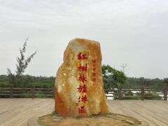 -东寨港红树林旅游区