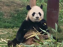 -杭州野生动物世界