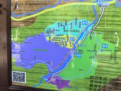 -汤旺河林海奇石景区