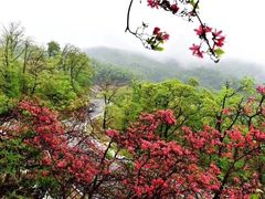 -岳西天峡风景区