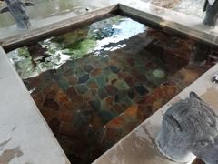 -中家鑫园温泉酒店鑫悦汤泉