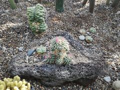 -南山植物园