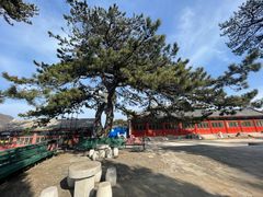 -妙峰山风景名胜区