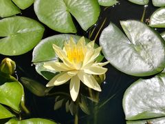 -国家植物园南园