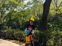 -木兰云雾山