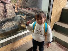 -昆明动物园