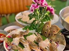 -禄婶鸡煲·打边炉
