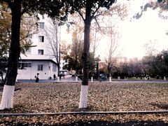 -东北大学(南湖校区)