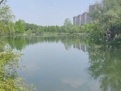 -洋湖国家湿地公园