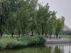 -莲花池公园