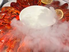 -杨氏青龙虾·羊蝎子(托乐嘉店)