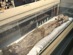 -巴音郭楞蒙古自治州博物馆