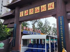 -北海金海湾红树林生态旅游区