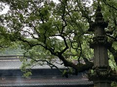 -普陀山风景名胜区-法雨禅寺