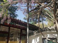 -红螺寺