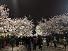 -同济大学四平路校区游泳馆