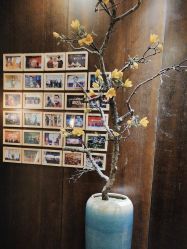 -盘子女人坊生日照·摄影馆(浦东店)