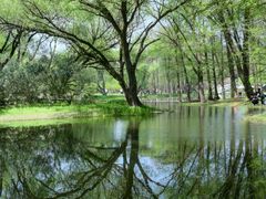 -上海共青森林公园