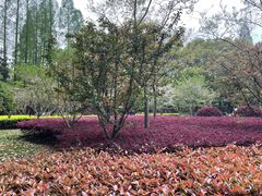 -徐家汇源景区-衡山公园