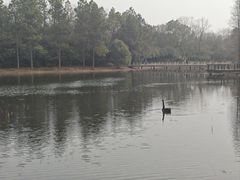 -长广溪湿地公园