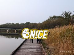 -西青郊野公园