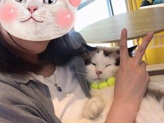 -南京Hallo宠物乐园·哈罗犬舍·柴犬繁育基地