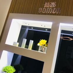 -佳慕皮肤管理连锁