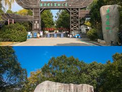 -溱湖国家湿地公园