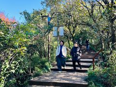 -杭州半山国家森林公园