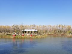 -合肥滨湖国家森林公园