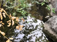 -无锡师范学校附属小学(学前街校区)