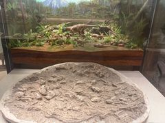 -辽宁古生物博物馆
