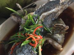 -四川小胡子海鲜(丁村万人海鲜广场店)