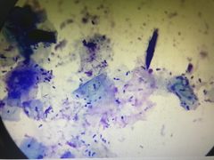 -爱诺耐芙动物医院(万博店)