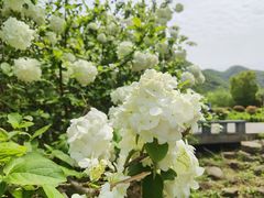 -贵阳市花溪国家城市湿地公园