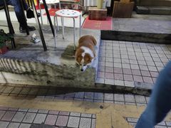 栗子-小梁哥云吞面(黄贝岭店)