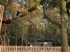 -WeLope紫金山探险公园