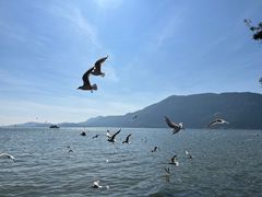 -滇池海埂公园