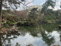 -杭州植物园