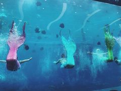 -瑞德姆美人鱼海底演艺主题餐厅(亚龙湾店)