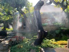 -Chom Cafe and Restaurant