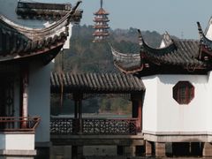 -天下玉苑