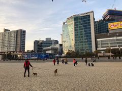 -海云台海滩