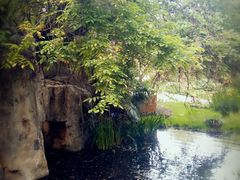 -云南民族大观园