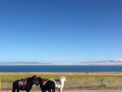 -青海湖国家重点风景名胜区