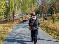 -两河城市森林公园